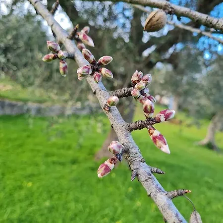 Eva Luna Hébergement de vacances Ostuni