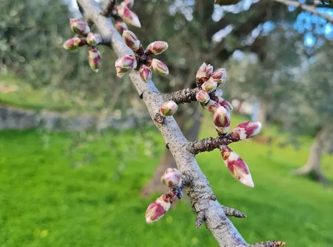 Eva Luna Сasa de vacaciones Ostuni